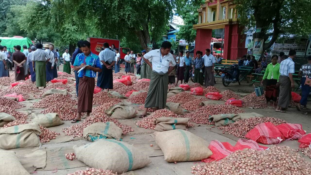 ပခုက္ကူဈေးကွက် ကြက်သွန်နီရောင်းဝယ်မှု အခြေအနေ