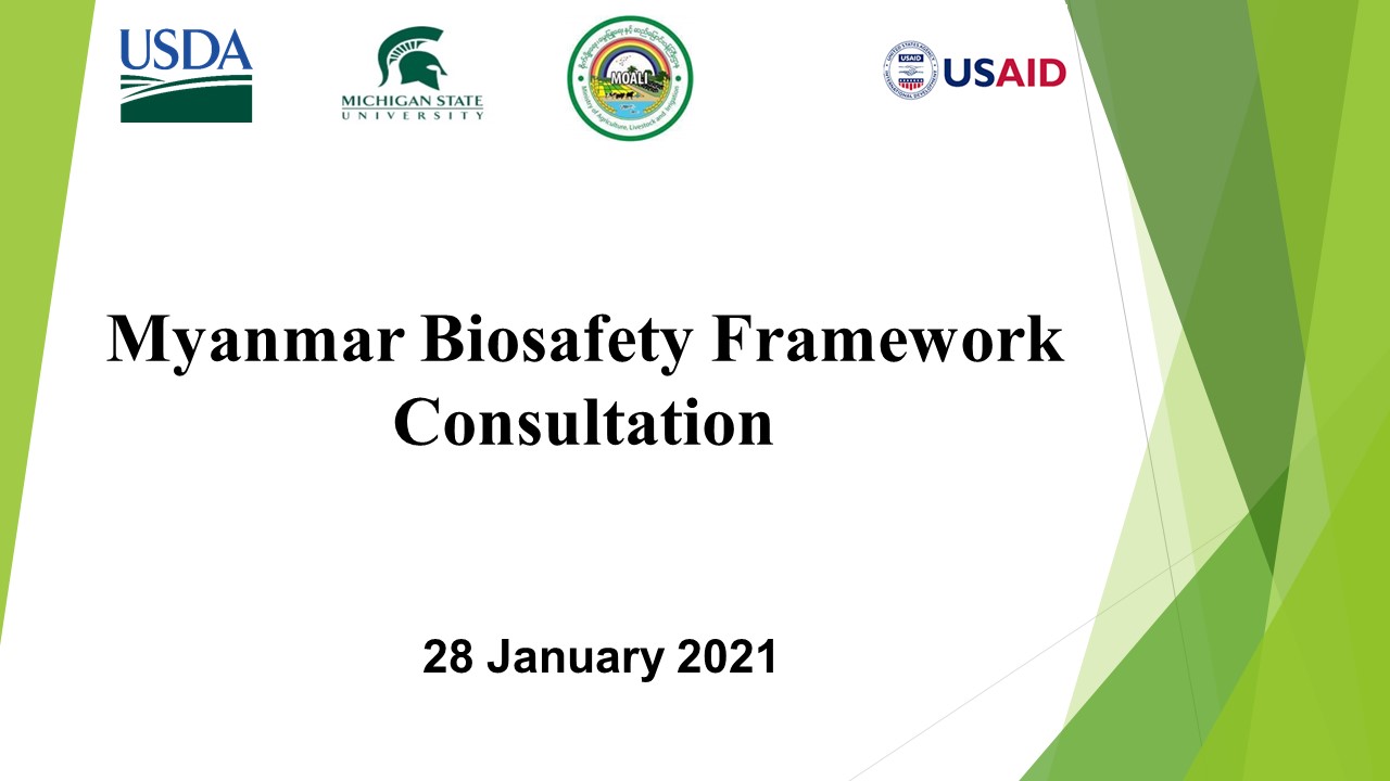 Myanmar Biosafety Framework Consultation